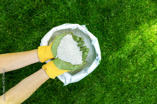 feeding lawn with granular fertilizer for perfect green grass photo