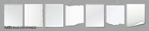 Set of different blank notebook torn pages. Pieces of ripped paper for notes. Vector illustration