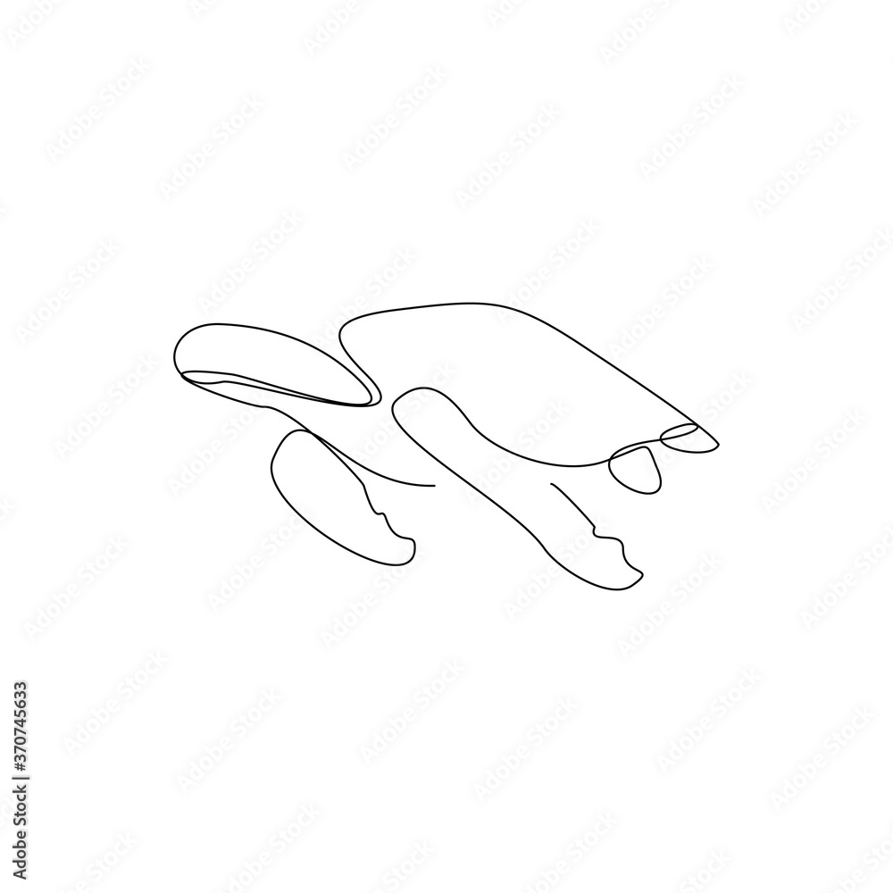 continuous line drawing of sea turtle. Single line art concept of aquatic water park. Vector illustration continuous line drawing of sea turtle. Single line art concept of aquatic water park. Vector illustration