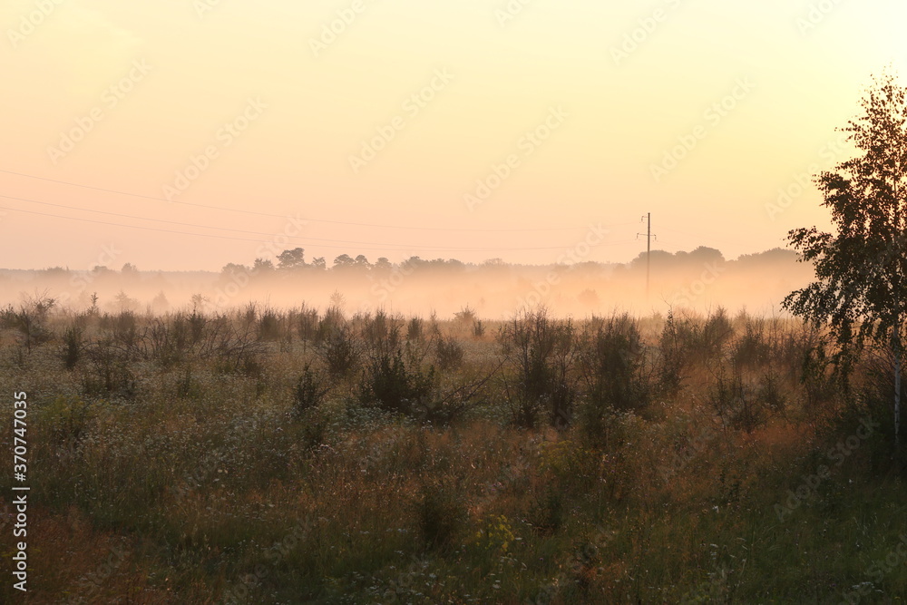morning fog over the field