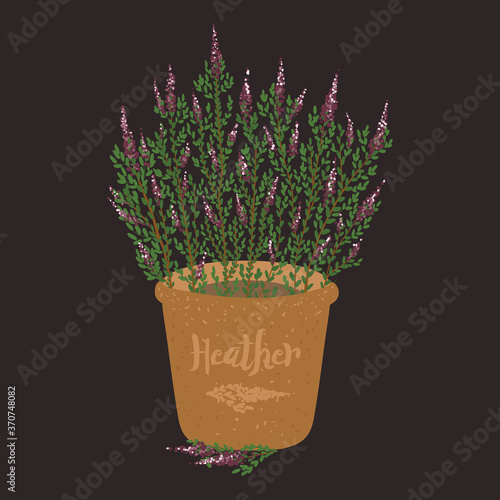 Vector art Clay pot with heather flowers