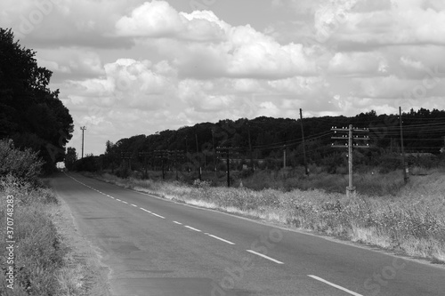 black and white photo of the road and forest