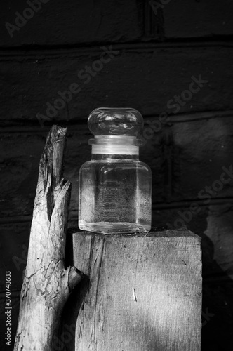 glass jar with water in nature, with branches of moss and reeds