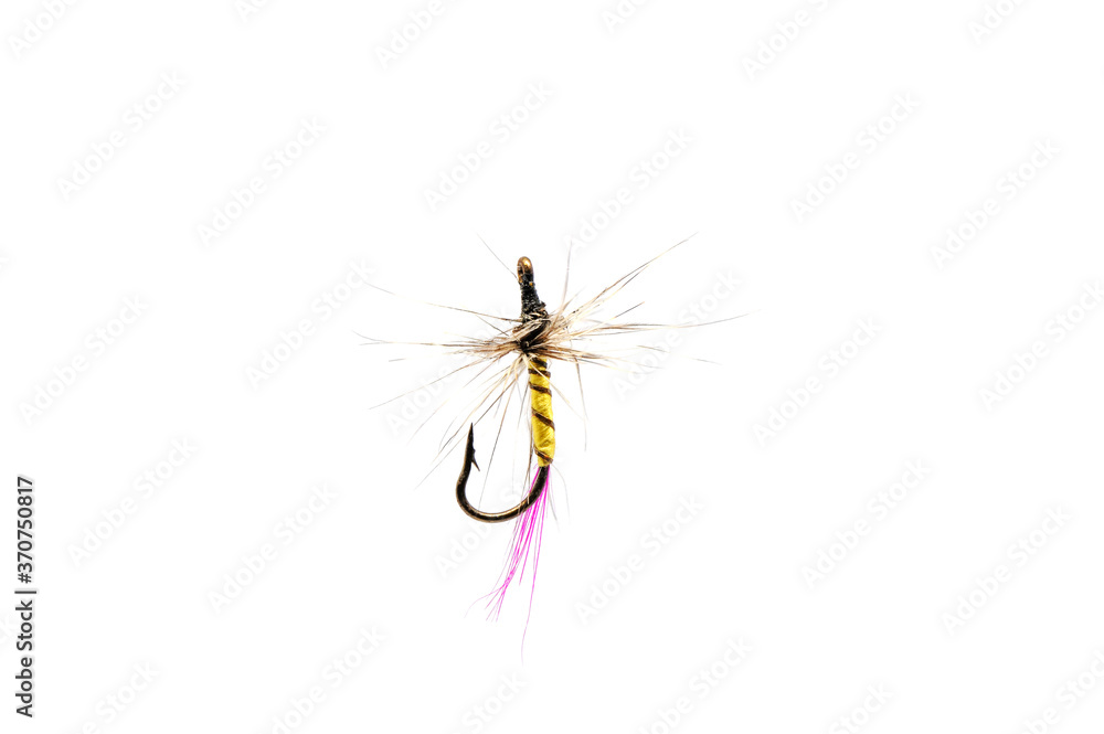 Fly for fishing on white background .