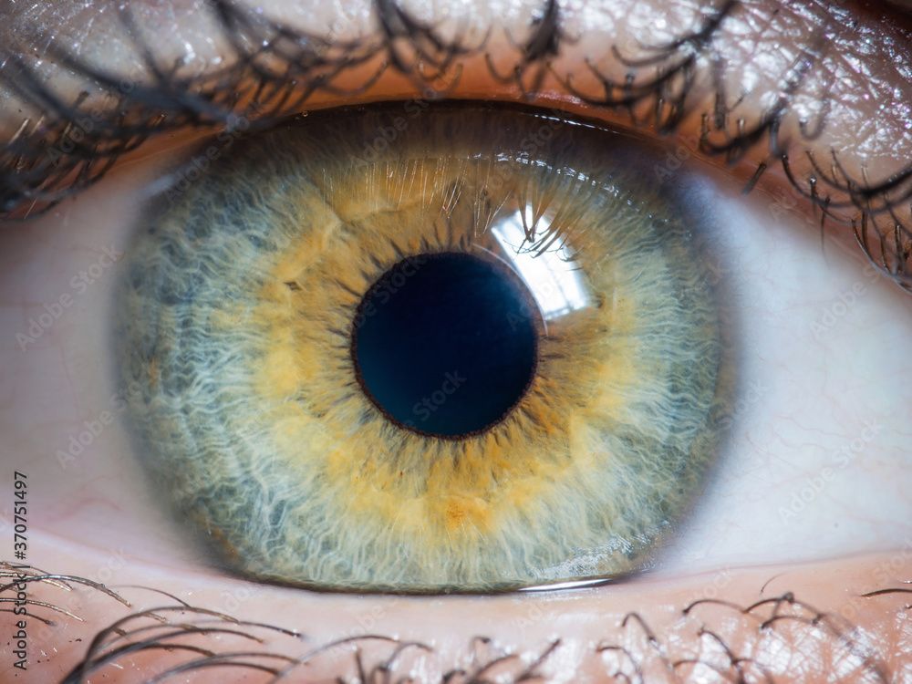 close up of human eye close up of human eye
