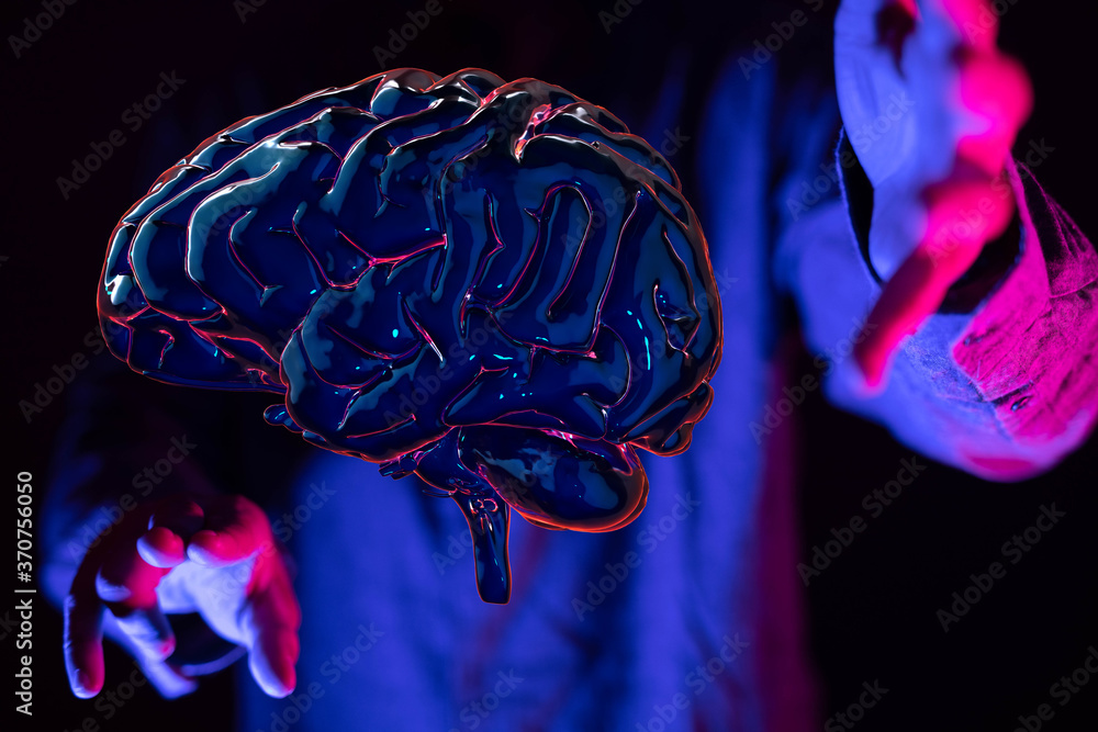 human brain imagination learning and mind human brain imagination learning and mind