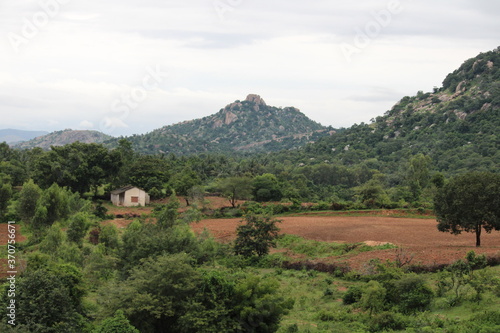mountain landscape with trees and clouds