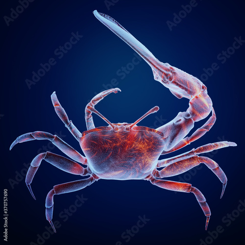 3d rendering of a crab
