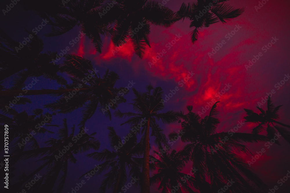 Bright background of tropical coconut palms with sunset sky