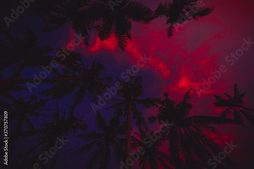 Bright background of tropical coconut palms with sunset sky