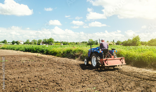 Farmer drives a tractor with a milling machine. Loosening surface, cultivating the land. Farming, agriculture. Loosens, grind and mix soil on plantation field. Field preparation for new crop planting.