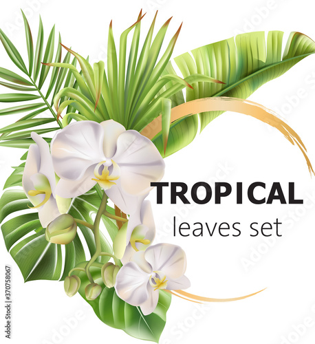 Tropical leaves greeting card with flowers and place for text
