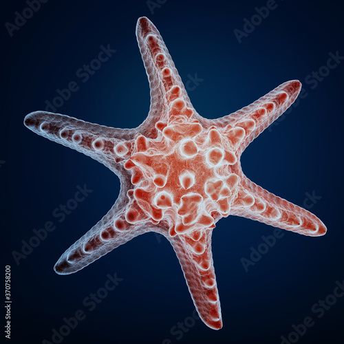 3d rendering of a starfish