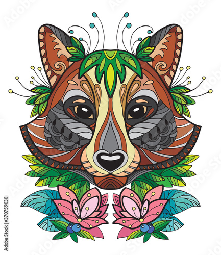 Racoon colorful vector
