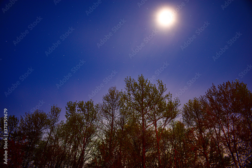 Fototapeta premium Skylight