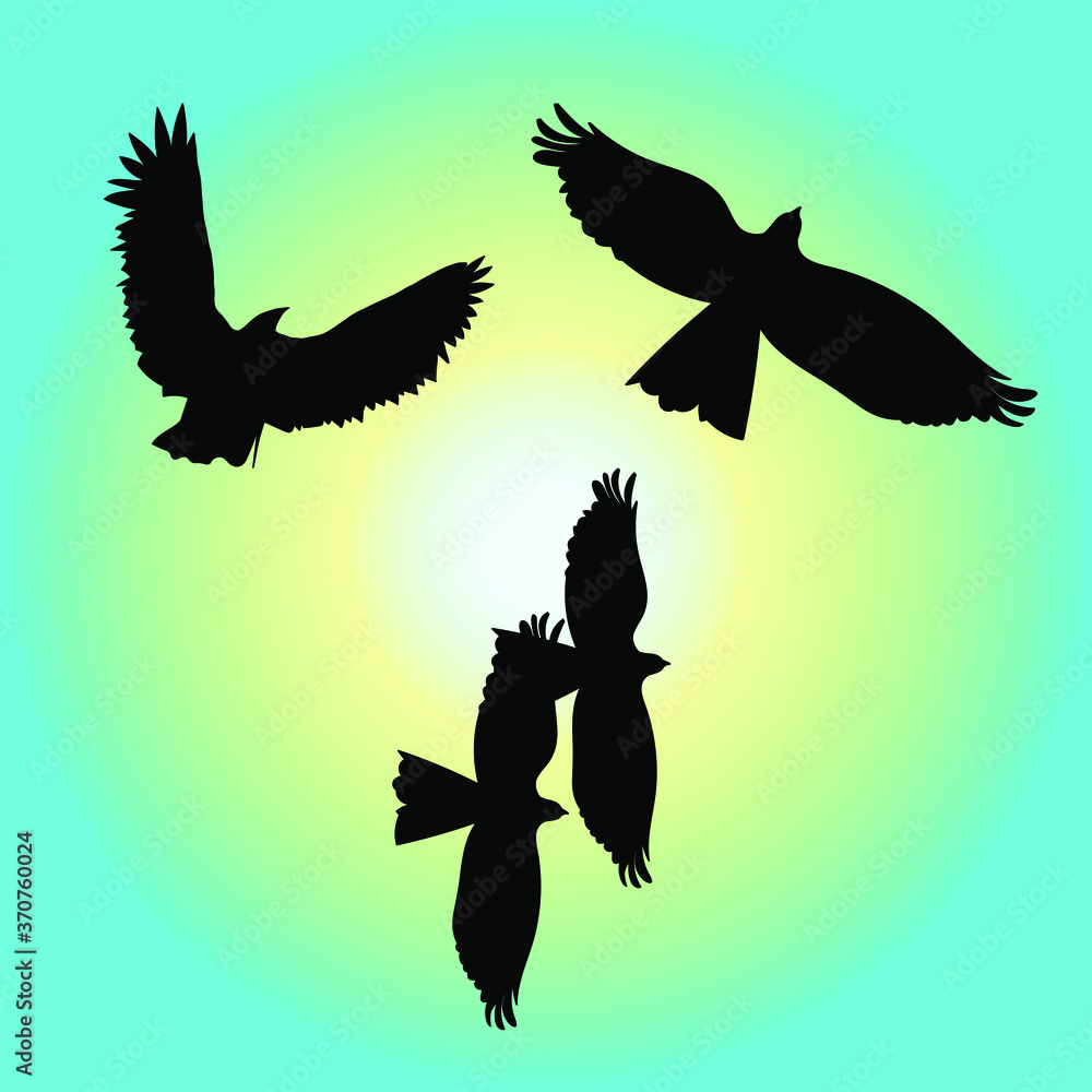 Fototapeta premium vector illustration of a flying eagle in the sky
