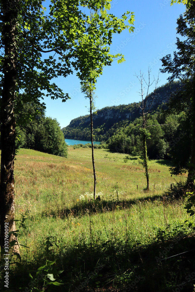 lac d'Ilay entre les arbres lac d'Ilay entre les arbres