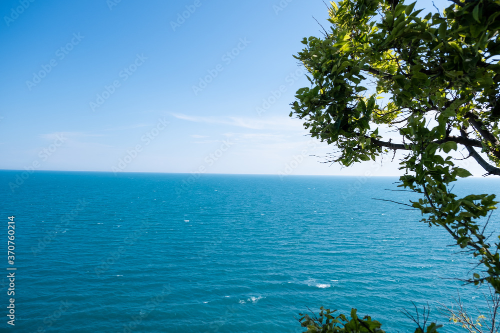 Tree On The Sea Background , Summer Travel Destination Tree On The Sea Background , Summer Travel Destination