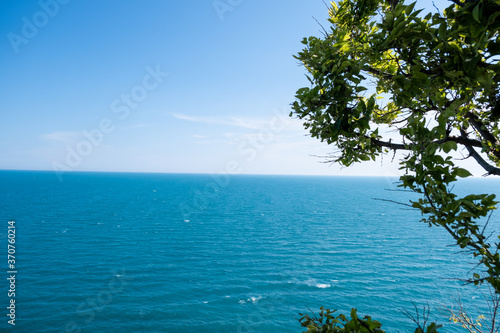 Fototapeta Naklejka Na Ścianę i Meble -  Tree On The Sea Background , Summer Travel Destination