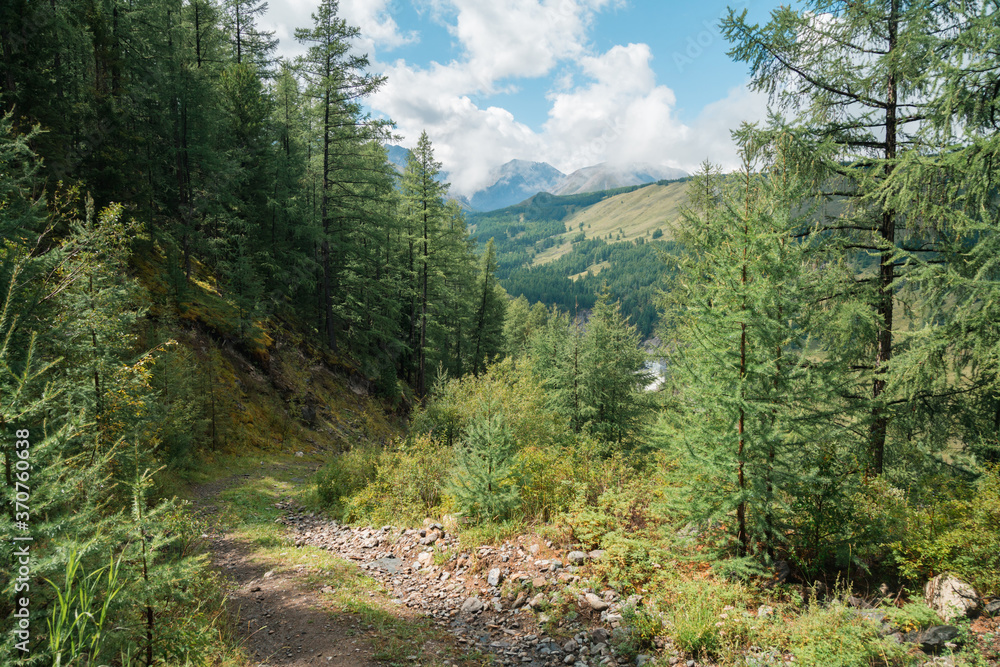 Difficult mountain road, green forest, summer view Difficult mountain road, green forest, summer view