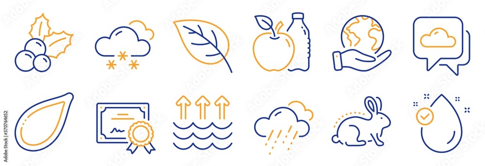 Obraz premium Set of Nature icons, such as Vitamin e, Leaf. Certificate, save planet. Snow weather, Pumpkin seed, Weather forecast. Evaporation, Animal tested, Christmas holly. Apple line icons. Vector