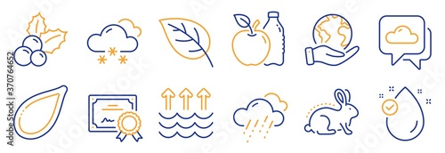 Set of Nature icons, such as Vitamin e, Leaf. Certificate, save planet. Snow weather, Pumpkin seed, Weather forecast. Evaporation, Animal tested, Christmas holly. Apple line icons. Vector