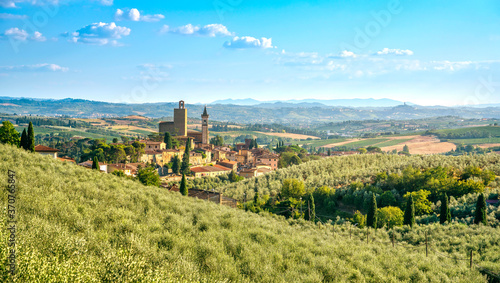 Vinci  Leonardo birthplace  village and olive trees. Florence  Tuscany Italy
