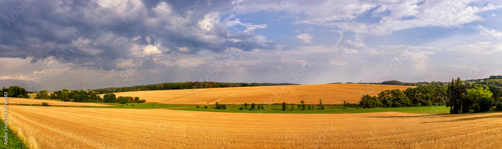 Rural landscape with a harvested wheat field in Germany near Velbert Langenberg, Neviges in North Rhine Westphalia