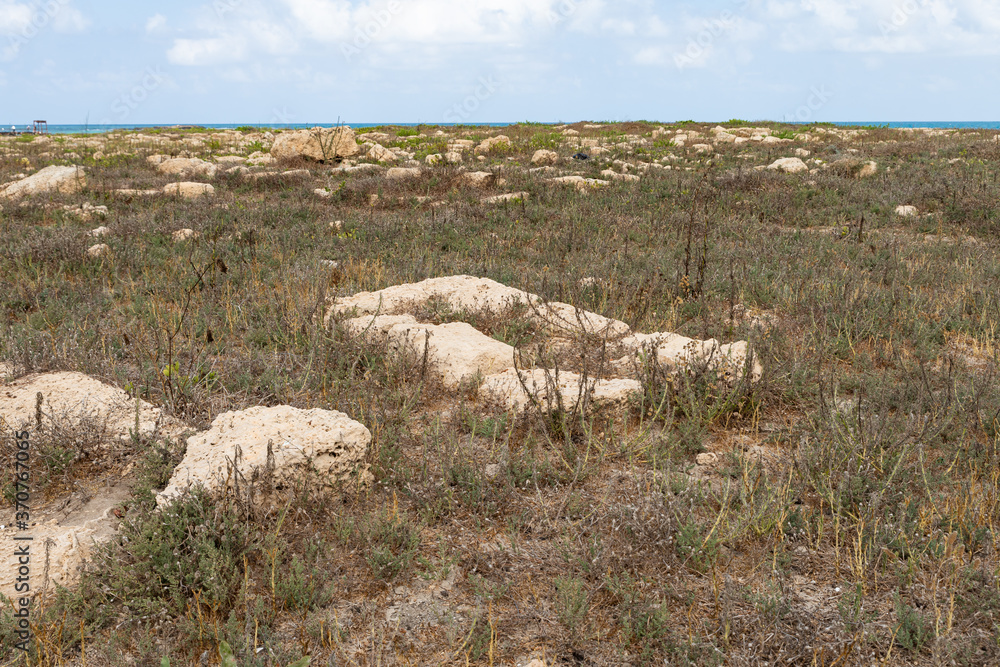 A grave  in an abandoned Templar cemetery near the Chateau fortress in the city of Atlit in northern Israel