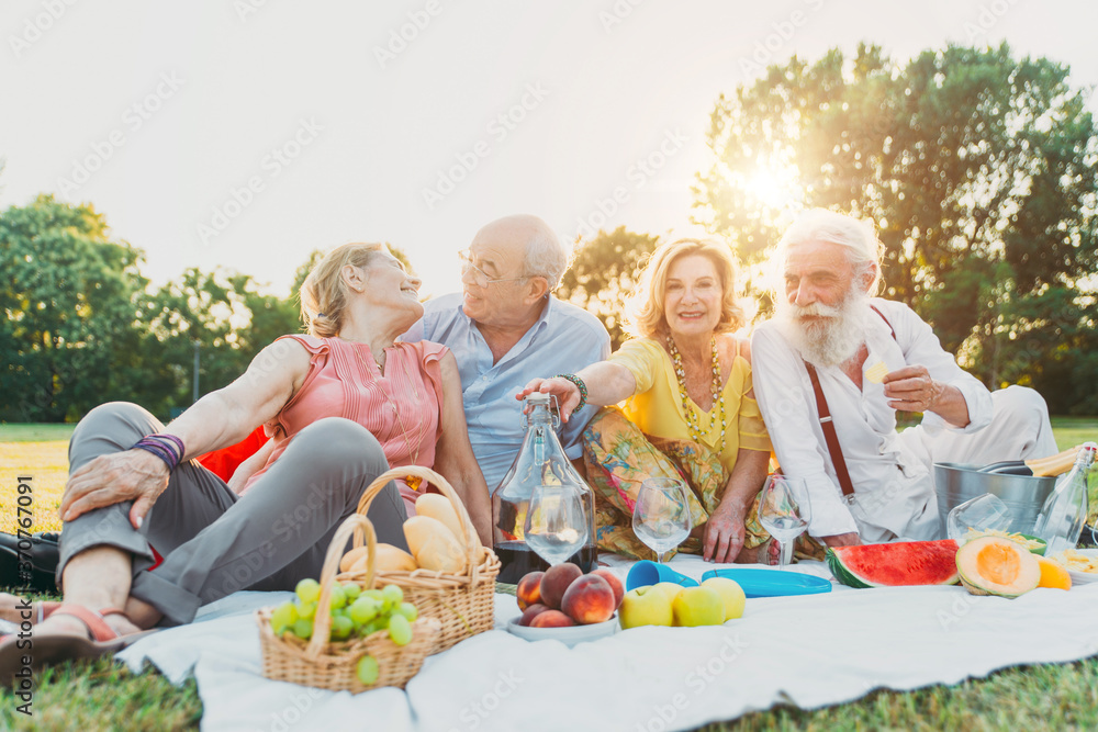 Fototapeta premium Group of seniors making a picnic at the park and having fun
