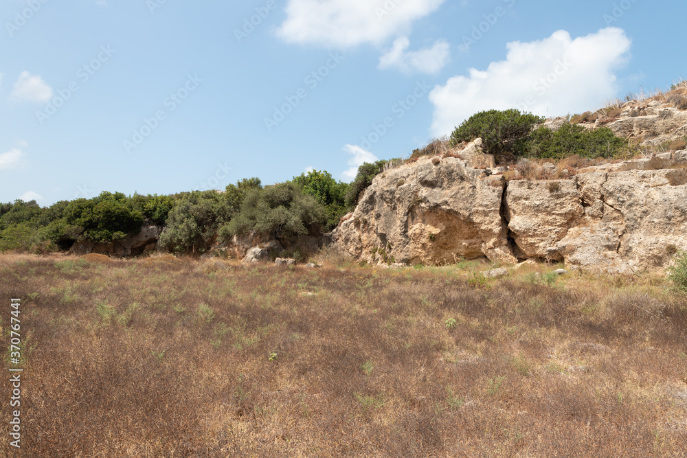 The vegetated stone walls of the old Phoenician fortress, which later ...