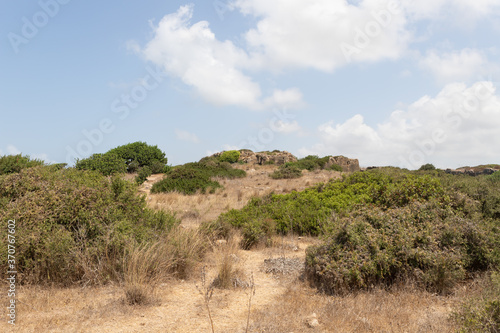 The vegetated stone walls of the old Phoenician fortress, which later became the Roman city of Karta, near the city of Atlit in northern Israel