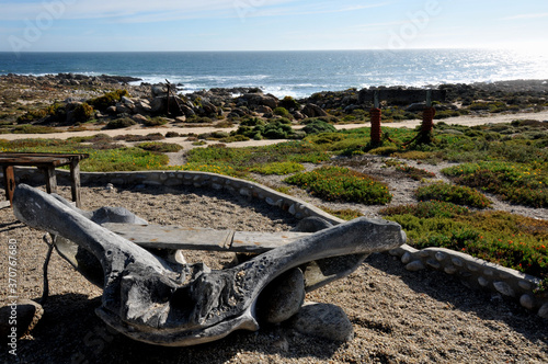 A whale bone and a piece of driftwood forms a perfect seat at Noup, West Coast of South Africa photo