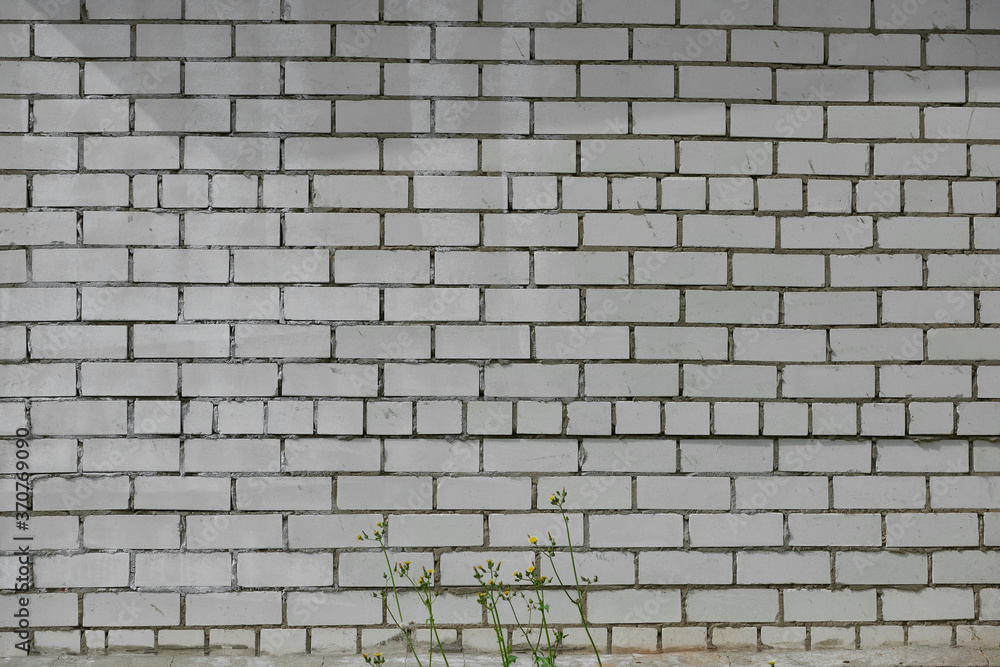 Obraz premium White brick wall background. Brick wall background