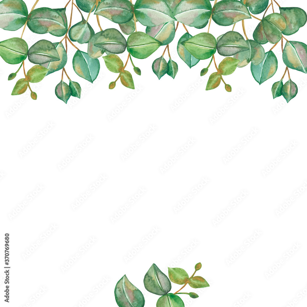 Watercolor hand painted nature greenery squared frame composition with green eucalyptus leaves on branches on the white background for invite and greeting card with the space for text