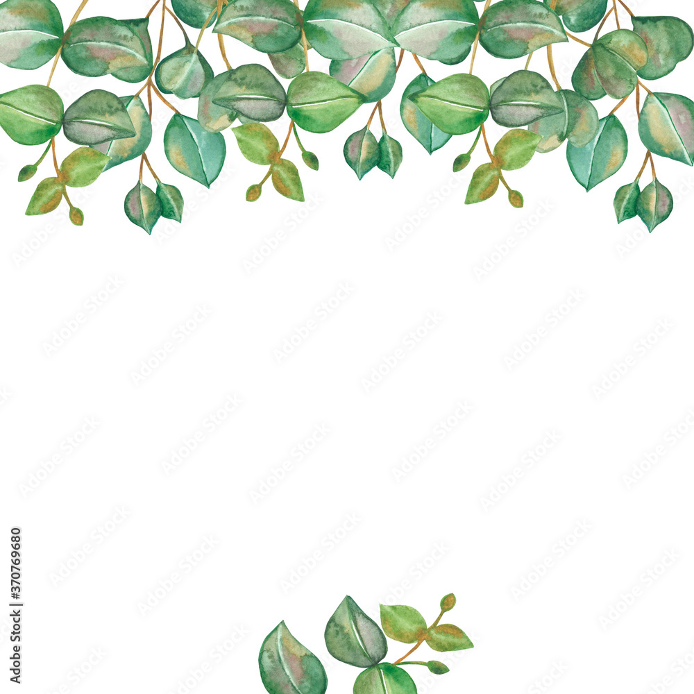Watercolor hand painted nature greenery squared frame composition with green eucalyptus leaves on branches on the white background for invite and greeting card with the space for text Watercolor hand painted nature greenery squared frame composition with green eucalyptus leaves on branches on the white background for invite and greeting card with the space for text