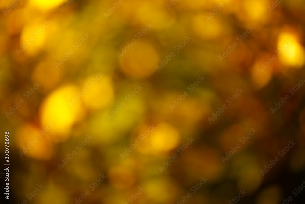 Obraz premium image of autumn tree bokeh