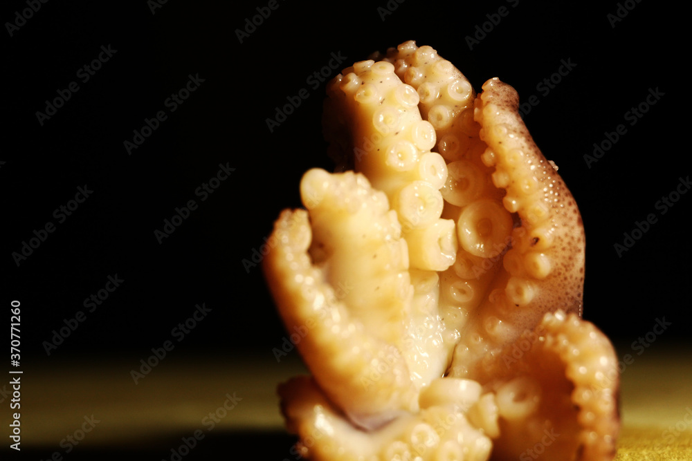 A delicious octopus prepared to be cooked in a gray bowl on a black background. Horizontal format. A delicious octopus prepared to be cooked in a gray bowl on a black background. Horizontal format.