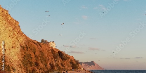 High cliffs by the sea. Seagulls are circling in the blue cloudless sky. A beautiful autumn seascape with the mood of freedom, space, flight. Sunset over the sea