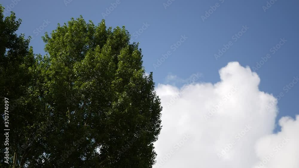 White clouds fast moving quickly blown by wind in the blue sky, background real time 4K White clouds fast moving quickly blown by wind in the blue sky, background real time 4K