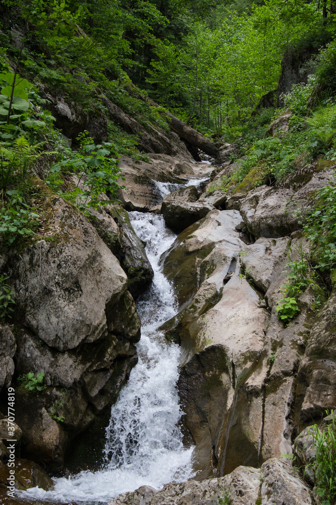 Water falling from a low cliff in the forest Water falling from a low cliff in the forest