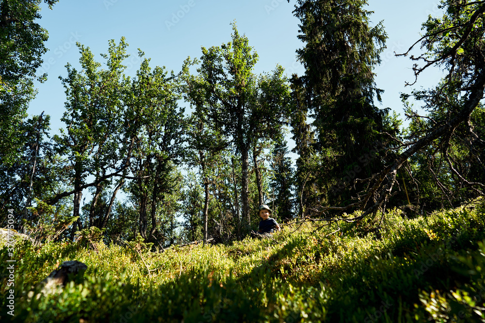 Fototapeta premium A little boy all alone in the big deep wild forest. 