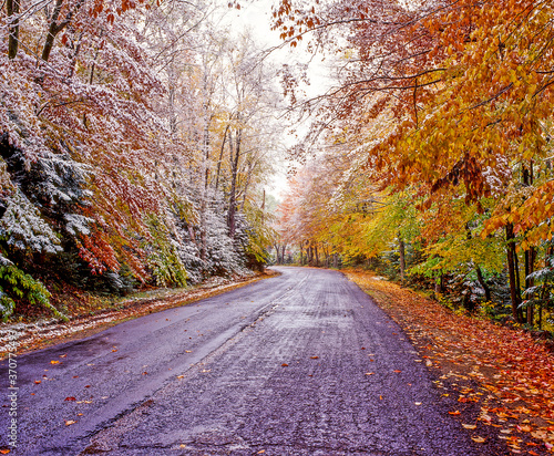 Early snow in fall trees on road in Lake Placid area of the Adirondack Mounatins State Park in New York State United States photo