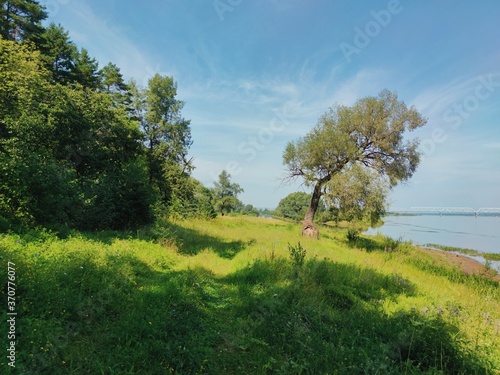coastal landscape with green grass and trees against the blue sky on a sunny day