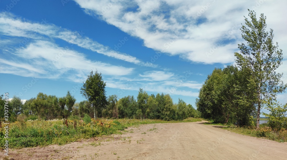 panoramic landscape with green trees on the background of a beautiful blue sky with clouds on a sunny day