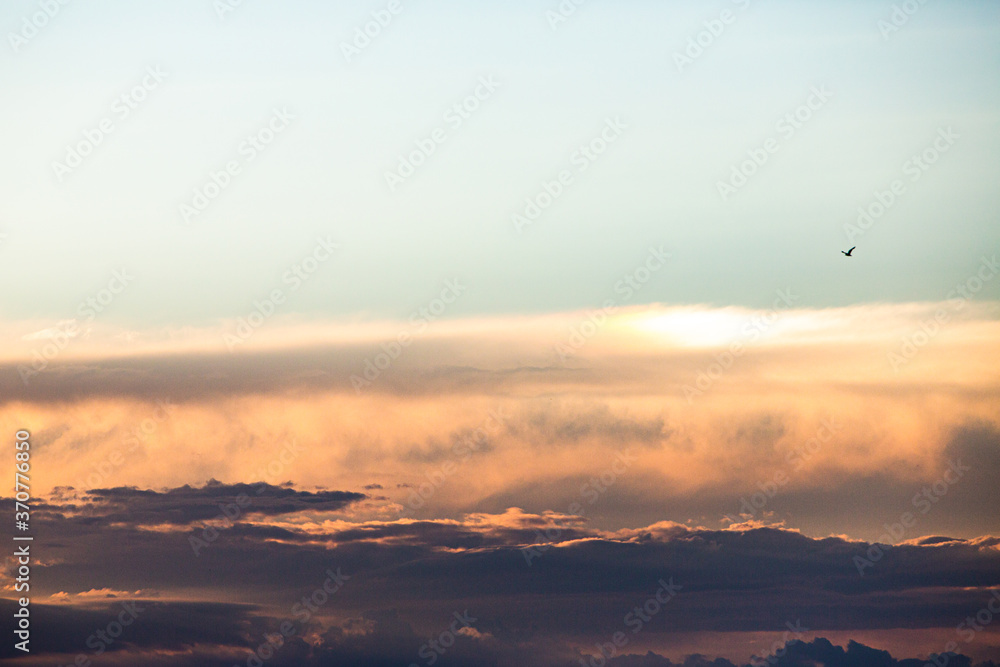vibrant summer coastal sunset
