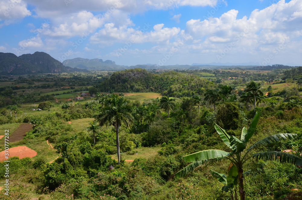 Vinales Valley in West Cuba, panoramic view, rural landscape with tobacco fields, a sunny day in summer, blue sky with clouds