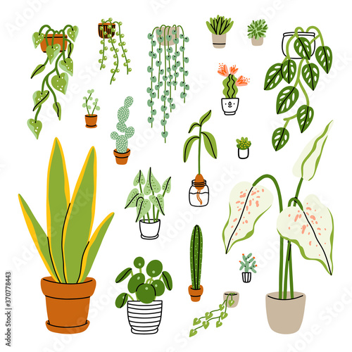 Collection of 18 different home plants, vector illustrations