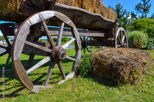 a wooden cart and hay on a green field, and a blue sky