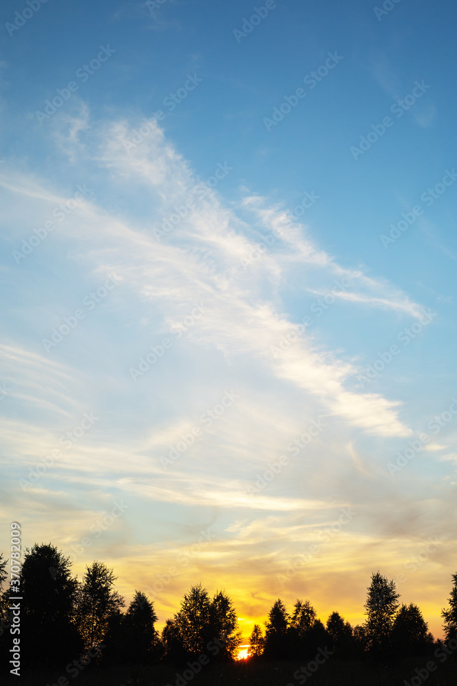 White feathery clouds in a blue sky. White feathery clouds in a blue sky.